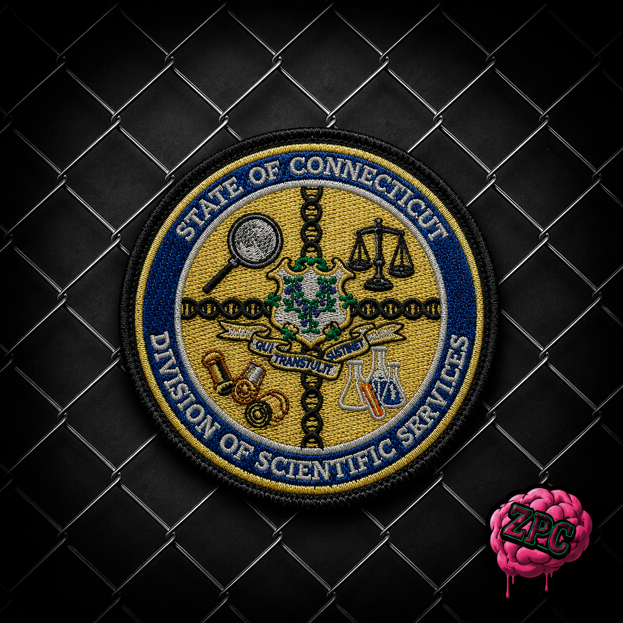 State Of Connecticut Division Of Scientific Services Patch
